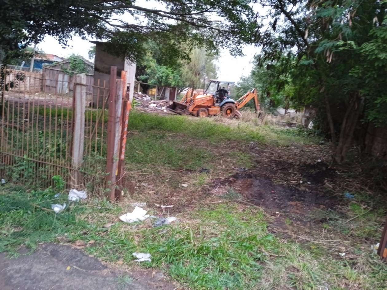 Terreno, 300 hectares - Foto 3