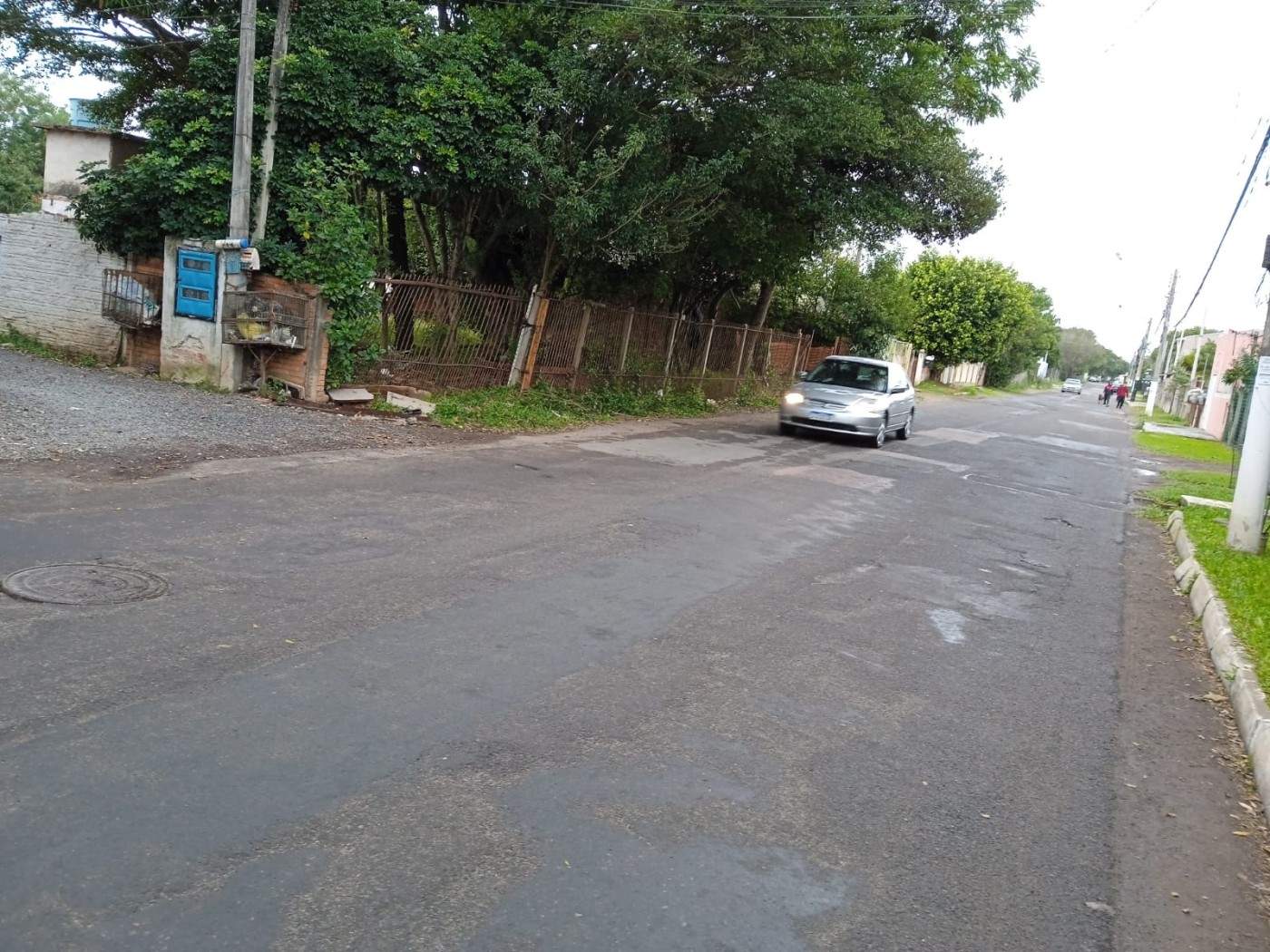 Terreno, 300 hectares - Foto 5