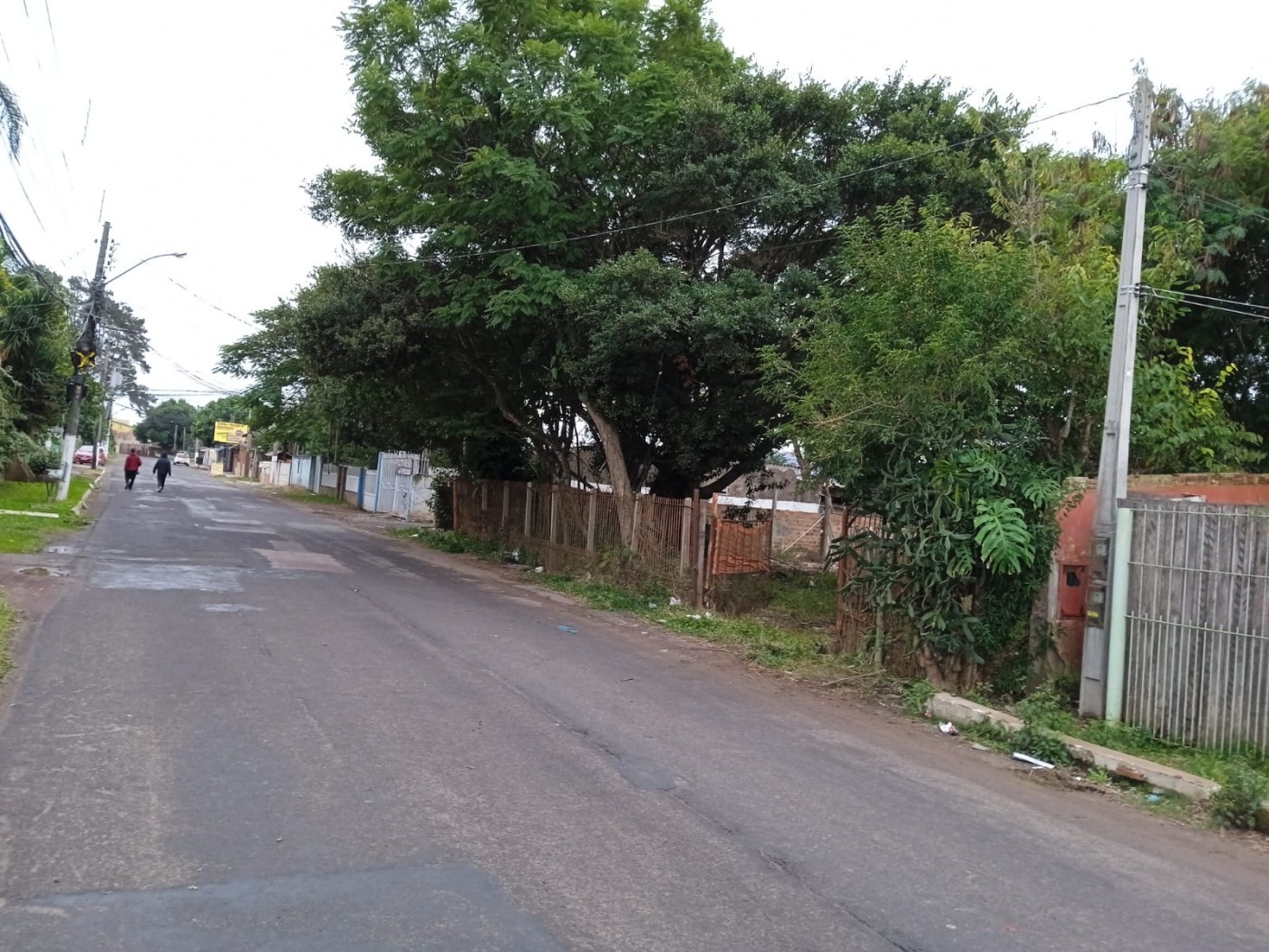 Terreno, 300 hectares - Foto 4