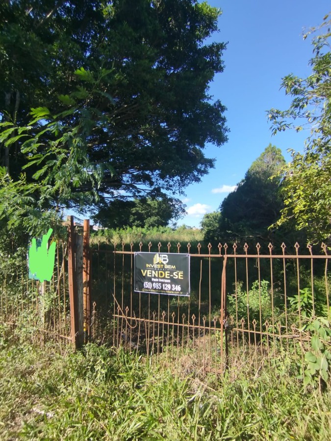 Terreno, 300 hectares - Foto 6