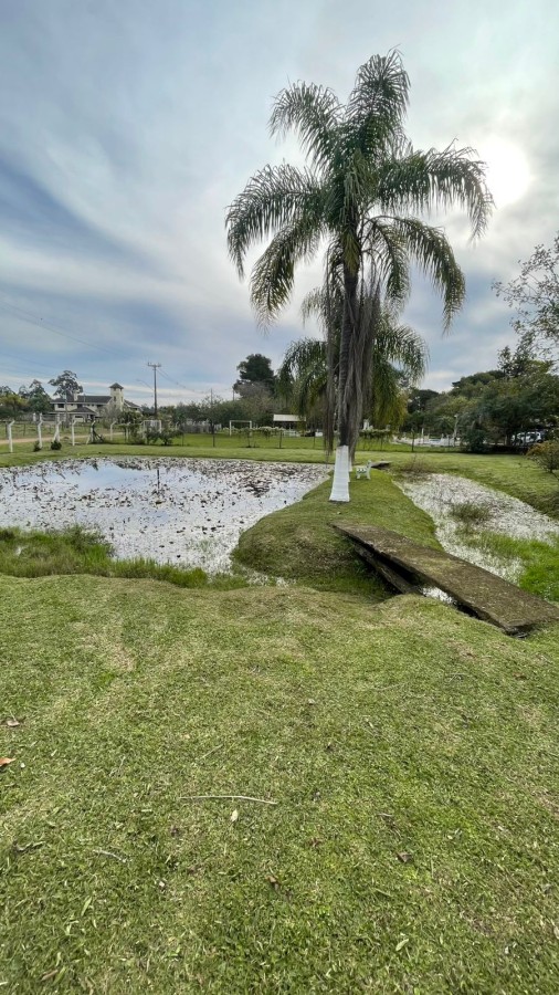 Sítio, 2 quartos, 3000 m² - Foto 3