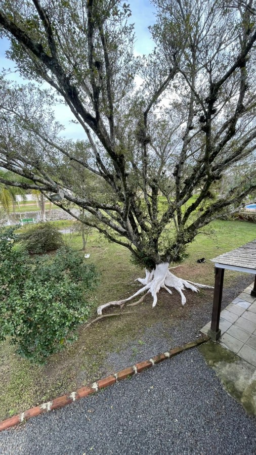 Sítio, 2 quartos, 3000 m² - Foto 10