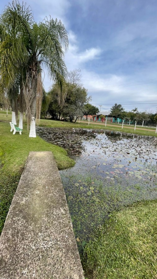 Sítio, 2 quartos, 3000 m² - Foto 15