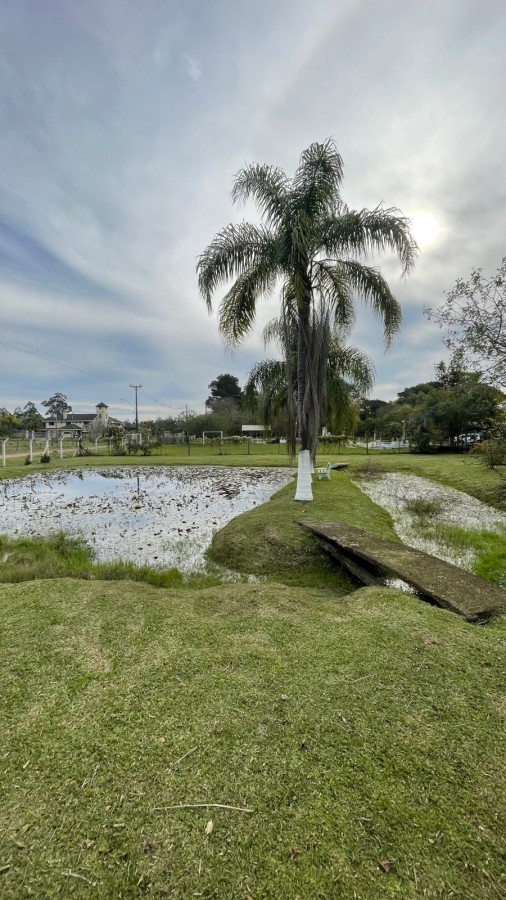 Sítio, 2 quartos, 3000 m² - Foto 31