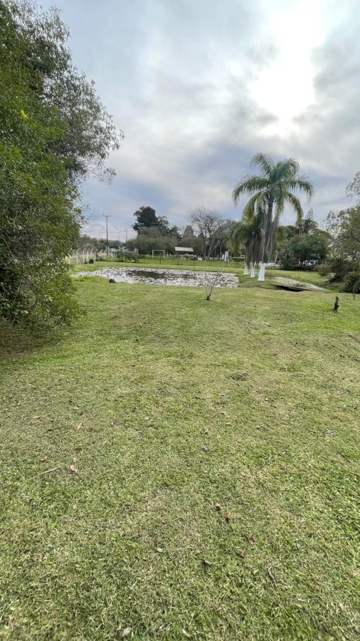 Sítio, 2 quartos, 3000 m² - Foto 29