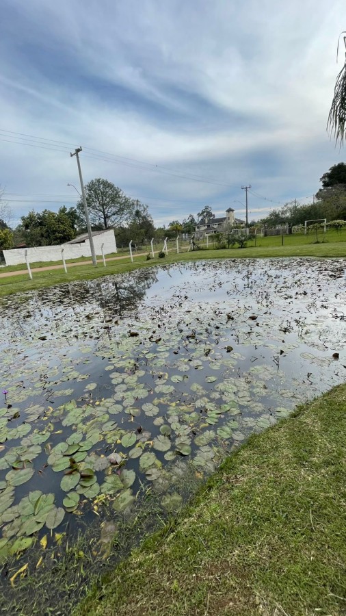 Sítio, 2 quartos, 3000 m² - Foto 30