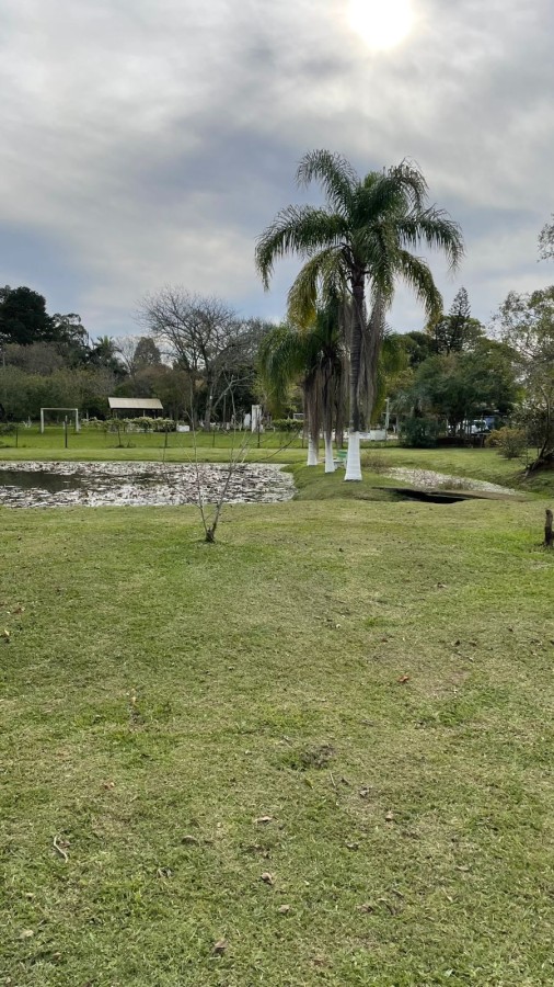 Sítio, 2 quartos, 3000 m² - Foto 34