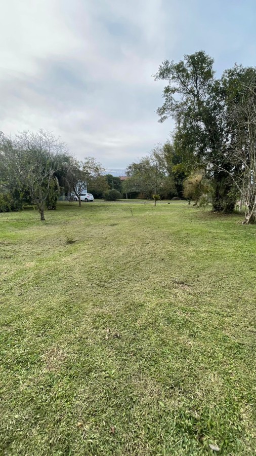 Sítio, 2 quartos, 3000 m² - Foto 32